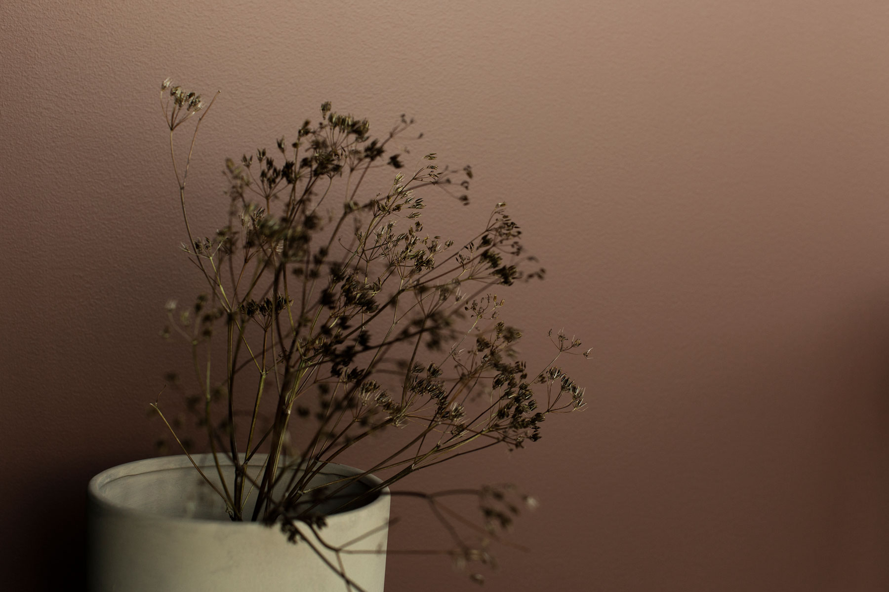 Color image
