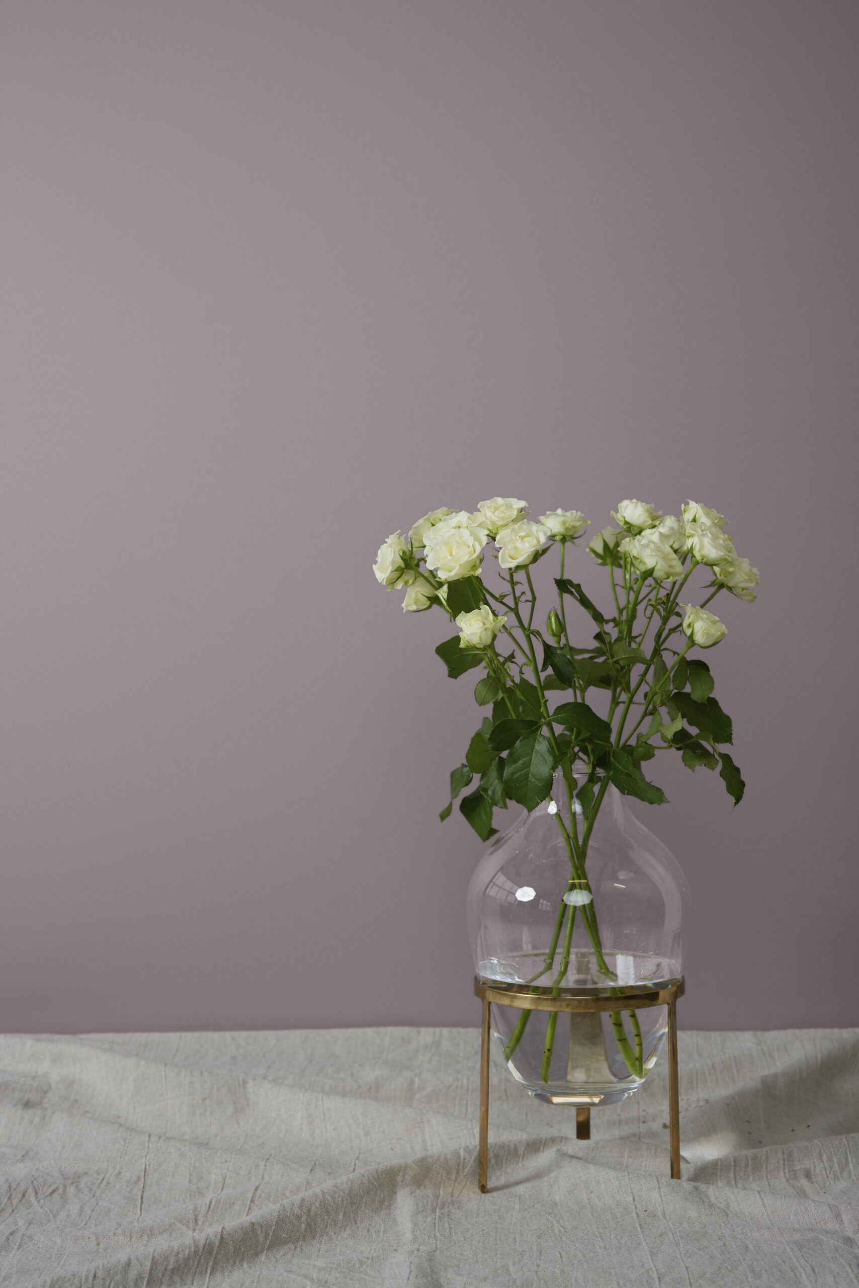 Color image