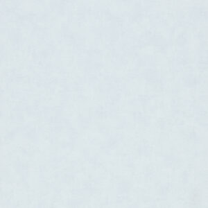 Your alt text
